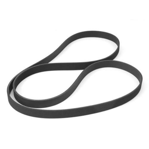 Serpentine Belt  Fits  81-82 CJ