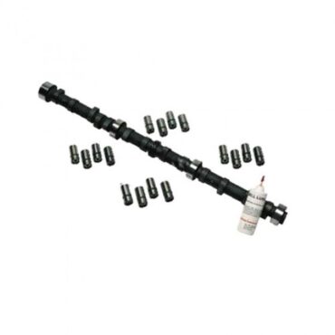 Camshaft and Lifter Kit  Fits  76-80 CJ with 6 Cylinder 232 258