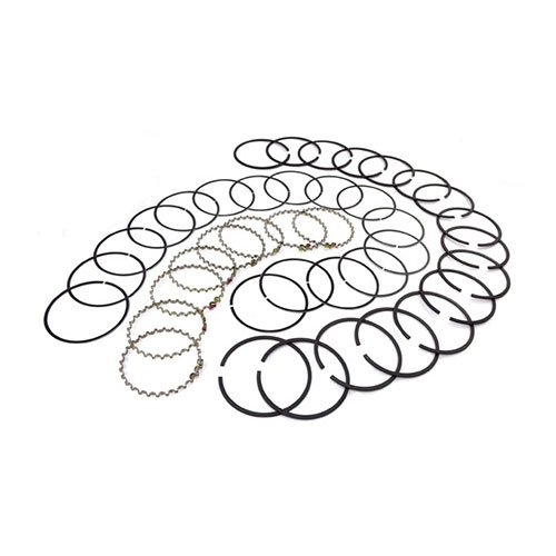 Piston Ring Set in .030 Inch o.s. Fits 76-986 CJ with V8 304