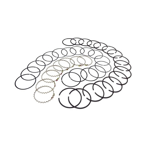 Piston Ring Set in Standard Fits 76-86 CJ with V8 304