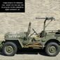 Olive Drab Green Flat Chassis Paint Kit Fits  41-71 Jeep & Willys