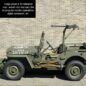 Olive Drab Green Flat Body & Chassis Paint Kit Fits  41-71 Jeep & Willys