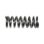 Camshaft Plunger Spring (chain driven) Fits  41-47 MB, GPW, 2A