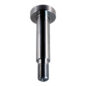 Rear Leaf Spring Pivot Eye Bolt  Fits  46-64 Station Wagon, Jeepster