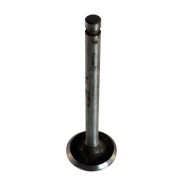 New Replacement Intake Valve  Fits  50-55 Station Wagon, Jeepster with 6-161 L engine