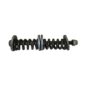 Rear of Cab Mount Spring & Bolt Kit Fits  47-64 Truck