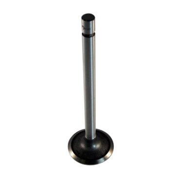 New Replacement Intake Valve  Fits  54-64 Truck, Station Wagon with 6-226 engine