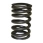 New Replacement Valve Spring (intake)  Fits  52-55 Station Wagon with 6-161 F engine