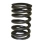 New Replacement Valve Spring (intake)  Fits  52-55 Station Wagon with 6-161 F engine