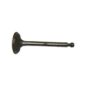 New Replacement Intake Valve  Fits  52-55 Station Wagon with 6-161 F engine