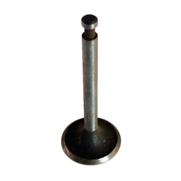 New Replacement Intake Valve  Fits  52-55 Station Wagon with 6-161 F engine