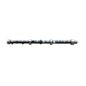 Factory Reground Camshaft  Fits  52-55 Station Wagon, Jeepster with 6-161 F engine