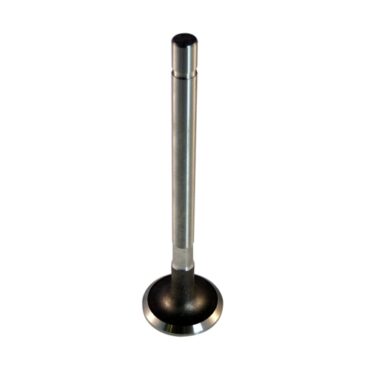 New Replacement Exhaust Valve  Fits  54-64 Truck, Station Wagon with 6-226 engine