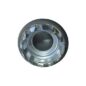 Dash Light (Lamp) Shield Fits  41-45 MB, GPW