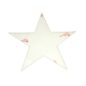 Decal 20" High White Hood Star (w/Transfer Paper) Fits  41-71 Jeep & Willys
