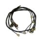 Complete Wiring Harness - Made in the USA  Fits  52-66 M38A1 in 24 volt