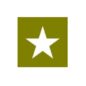 Paint Mask Stencil 12" Star Fits  41-71 Jeep & Willys