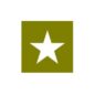 Paint Mask Stencil 15" Star Fits  41-71 Jeep & Willys