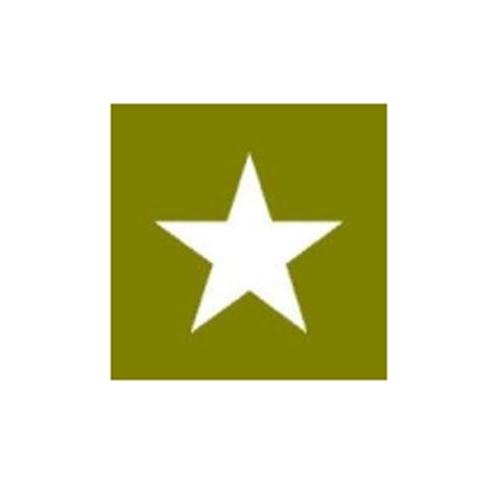 Paint Mask Stencil 18" Star Fits  41-71 Jeep & Willys