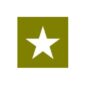 Paint Mask Stencil 3" Star Fits  41-71 Jeep & Willys