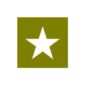 Paint Mask Stencil 6" Star Fits  41-71 Jeep & Willys