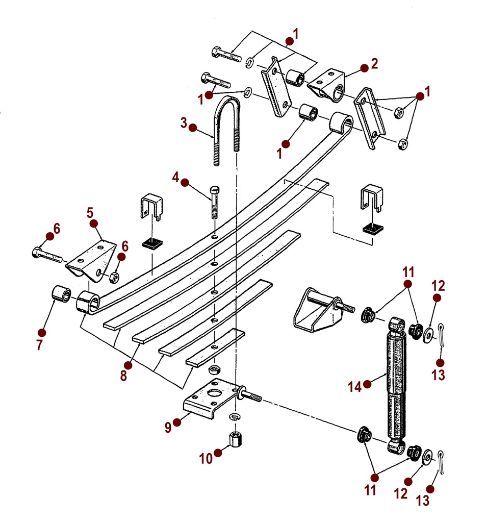 Front Spring - Willys CJ-5, 6