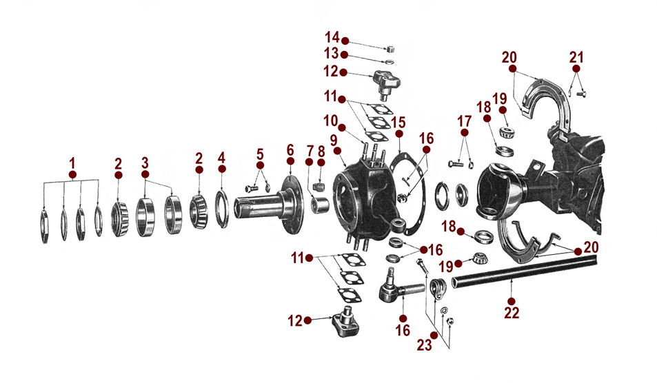 Front Axle - Steering Knuckle & Wheel Bearings - Willys CJ-5, 6