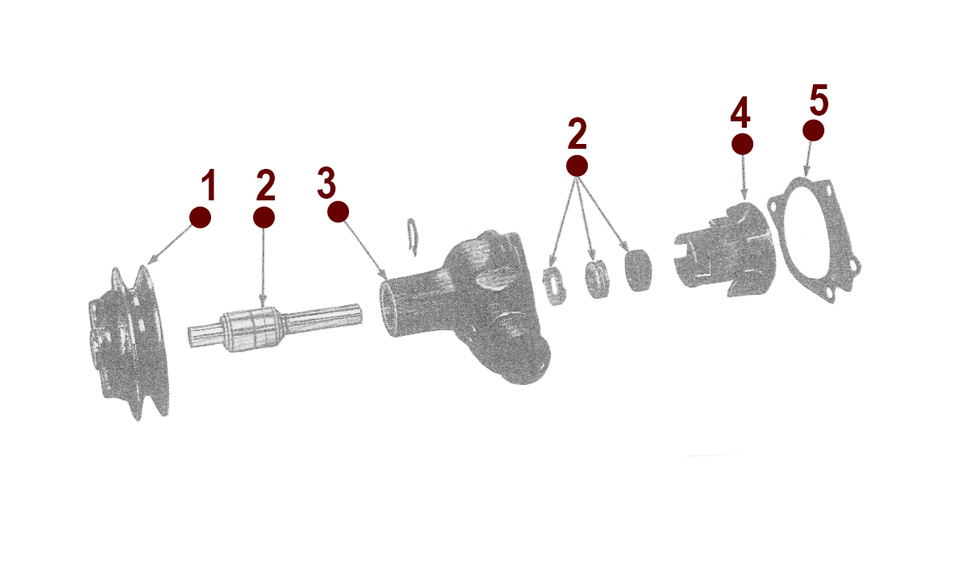 Water Pump Assembly