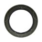 NOS Outer Headlight Door Retaining Ring Fits 50-66 M38, M38A1
