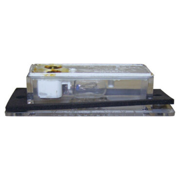 License Plate Lamp Assembly Fits 81-91 Wagoneer