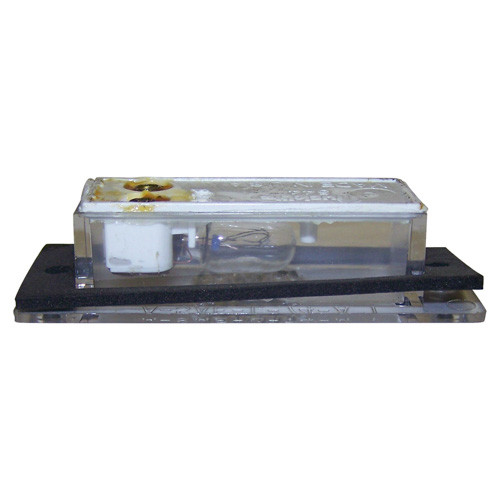License Plate Lamp Assembly Fits 81-91 Wagoneer
