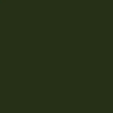 US Made Shasta Green Paint (1 Gallon) Fits 41-71 Jeep & Willys