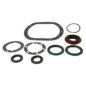 Dana 27 Front Axle Gasket And Seal Kit Fits 60-71 Jeep & Willys with Dana 27 Front Axle